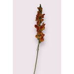 SNAPDRAGON | ORANGE | 98 CM