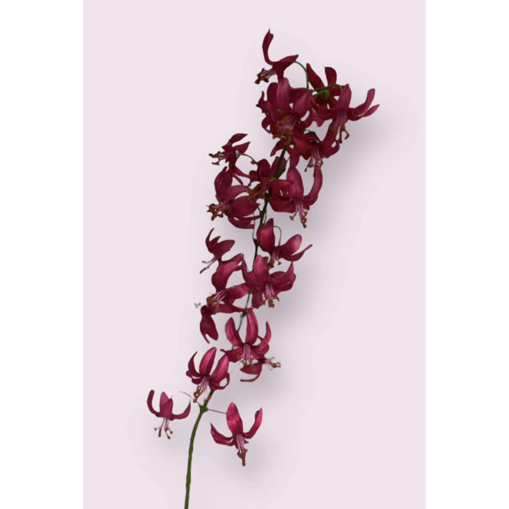 ASIAN LILY | PINK | 112 CM