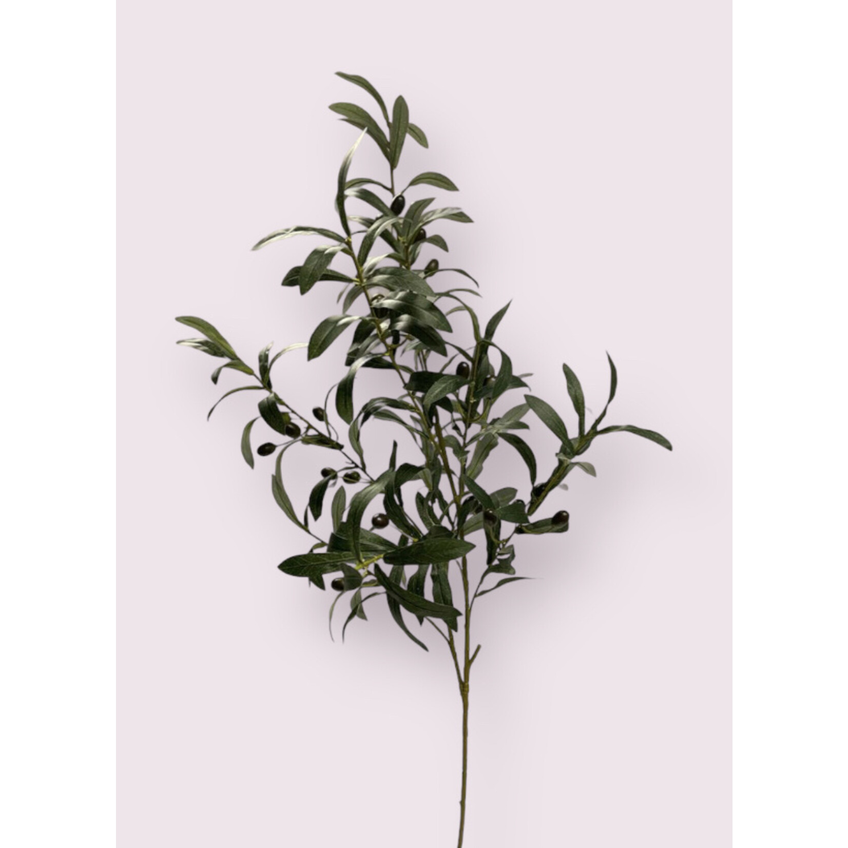 OLIVE  BRANCH | GREEN | 100 CM