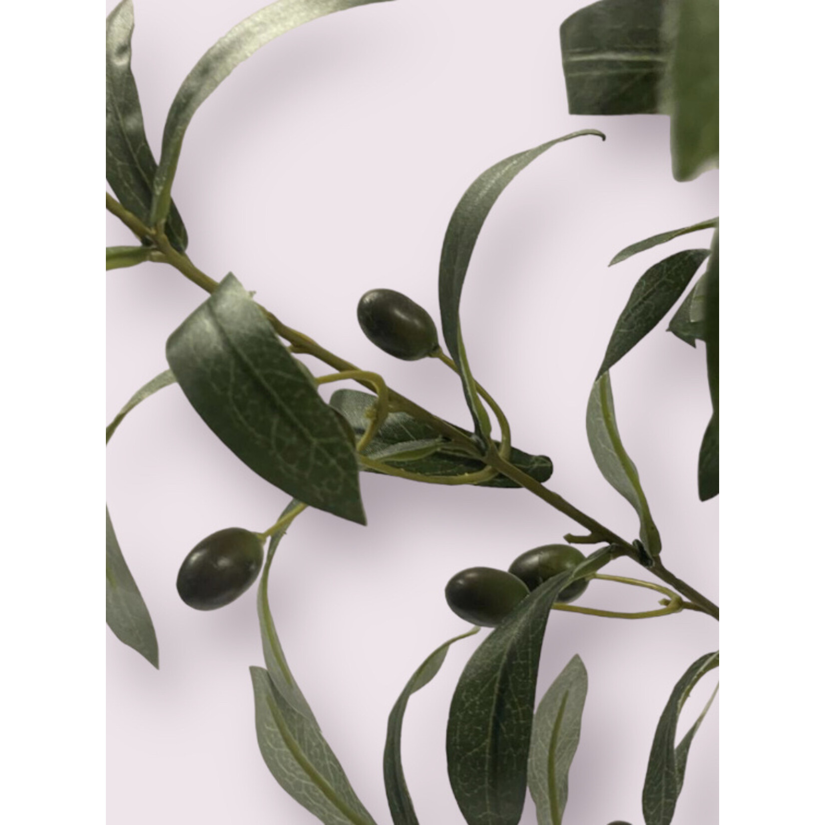 OLIVE  BRANCH | GREEN | 100 CM
