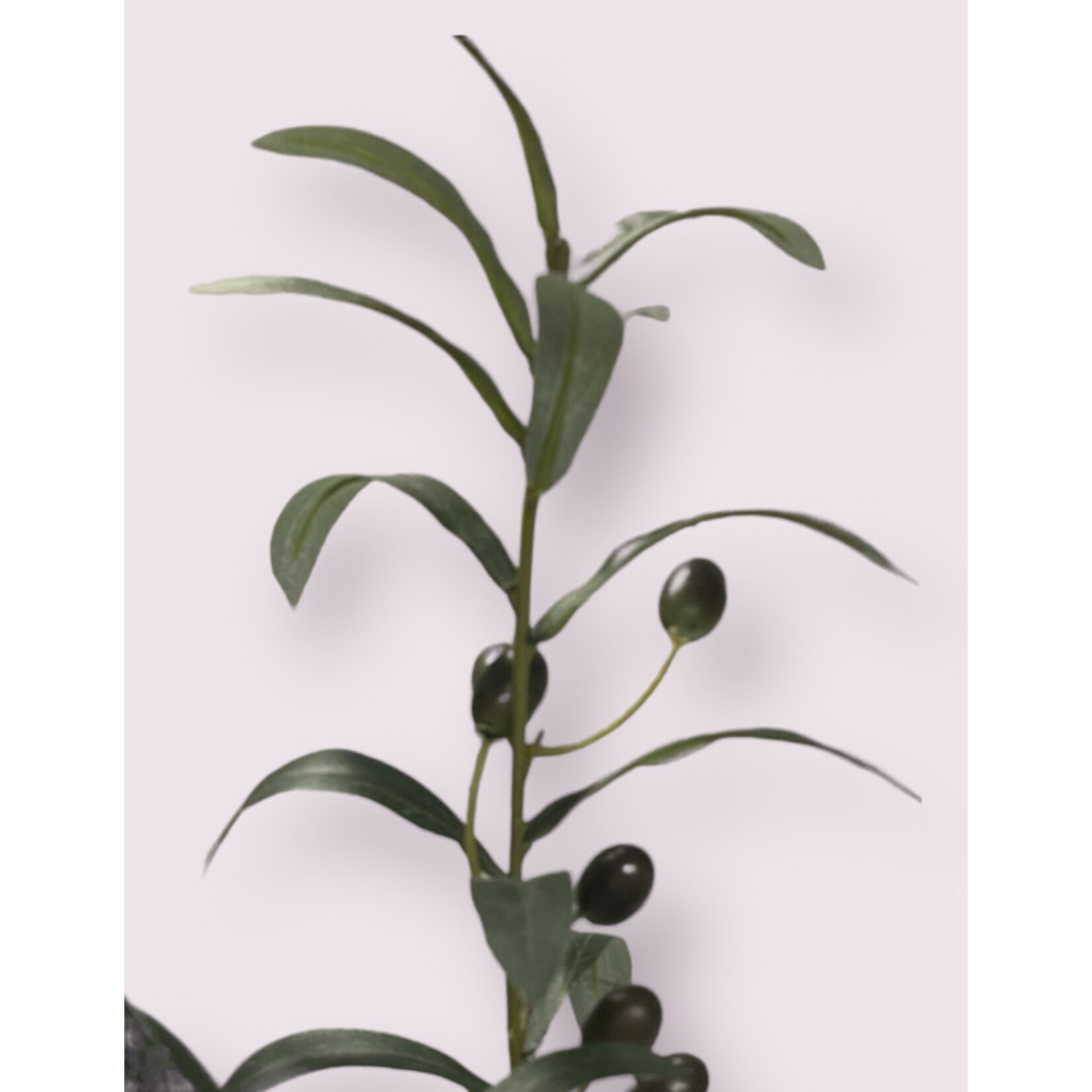 OLIVE  BRANCH | GREEN | 100 CM