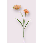 FREESIA | ZALM | 66 CM