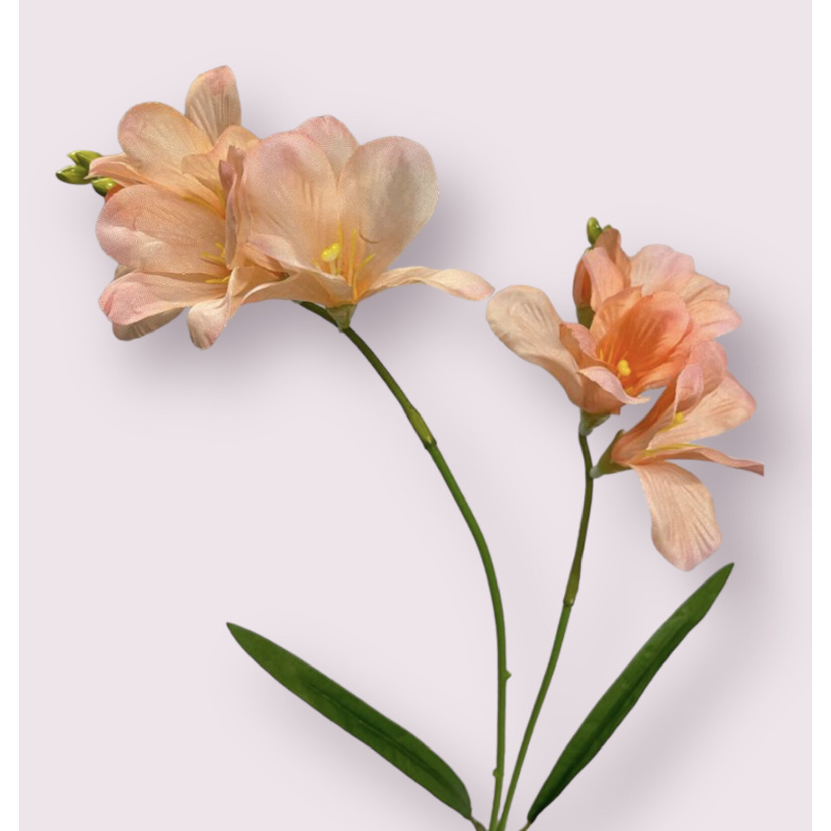 FREESIA ROSARIO |SALMON| 66 CM