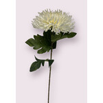 CHRYSANT | WIT | 65 CM