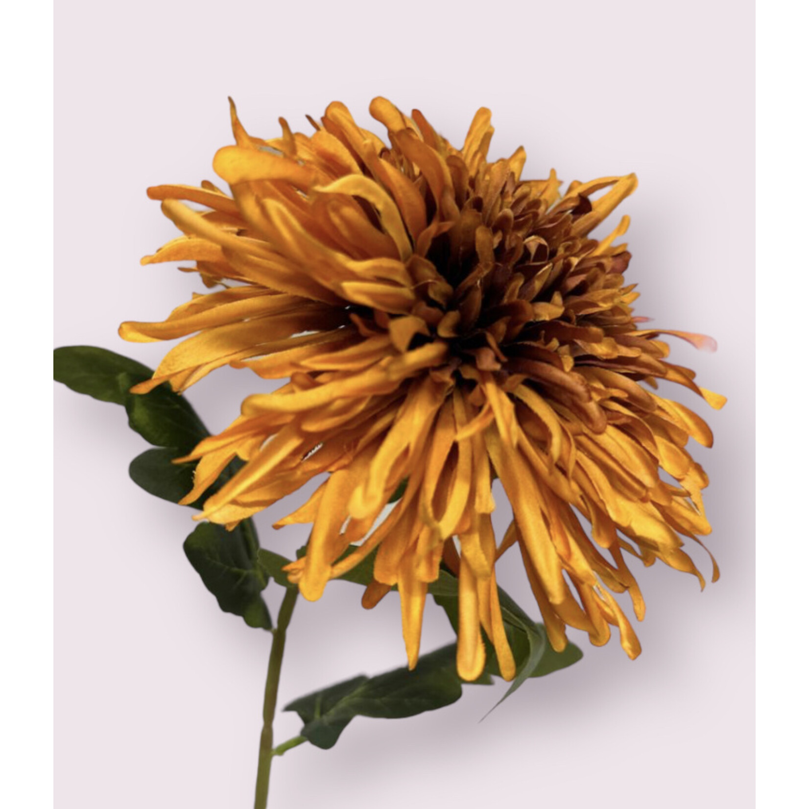 CHRYSANT | ORANGE | 73 CM