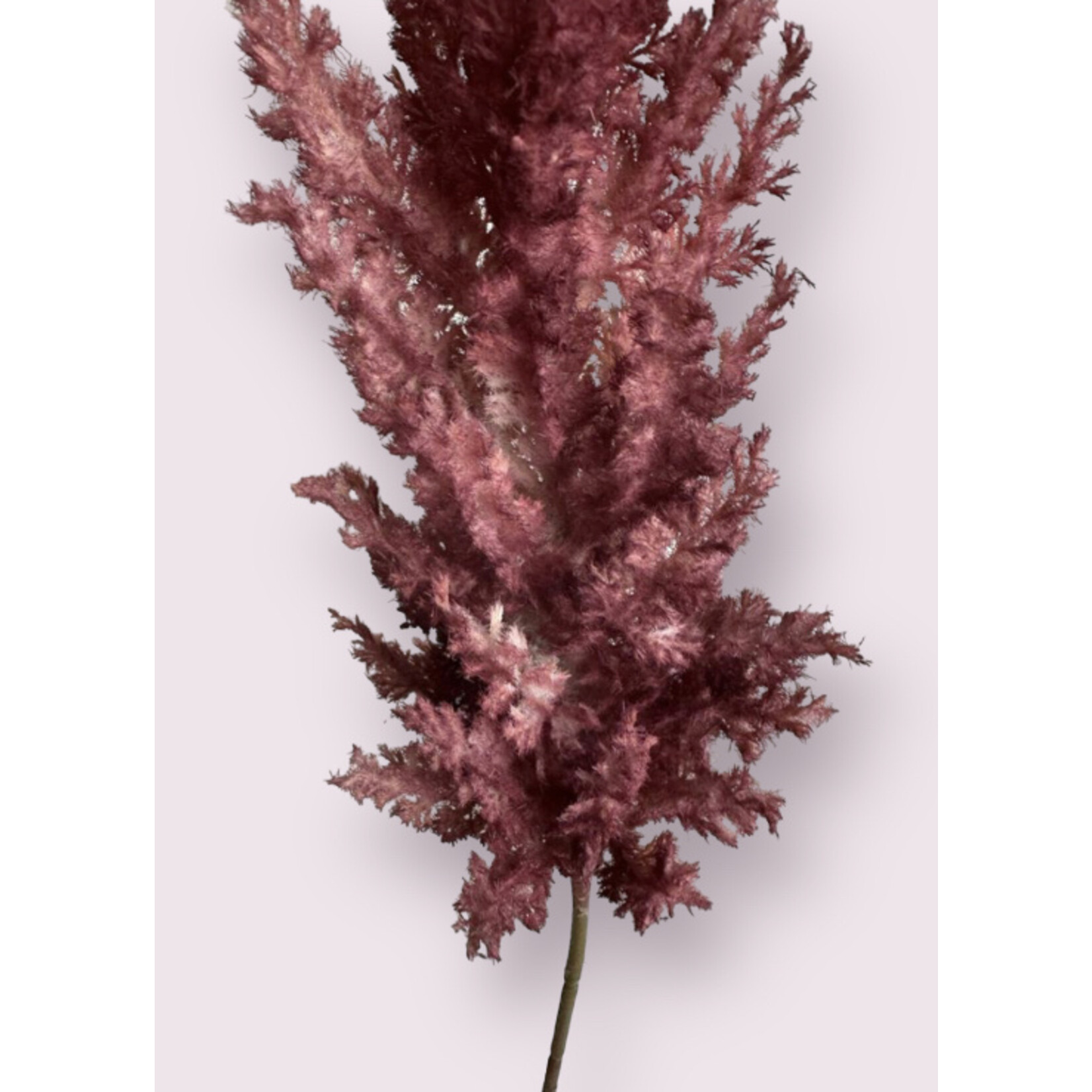 COTINUS | BORDEAUX | 90 CM