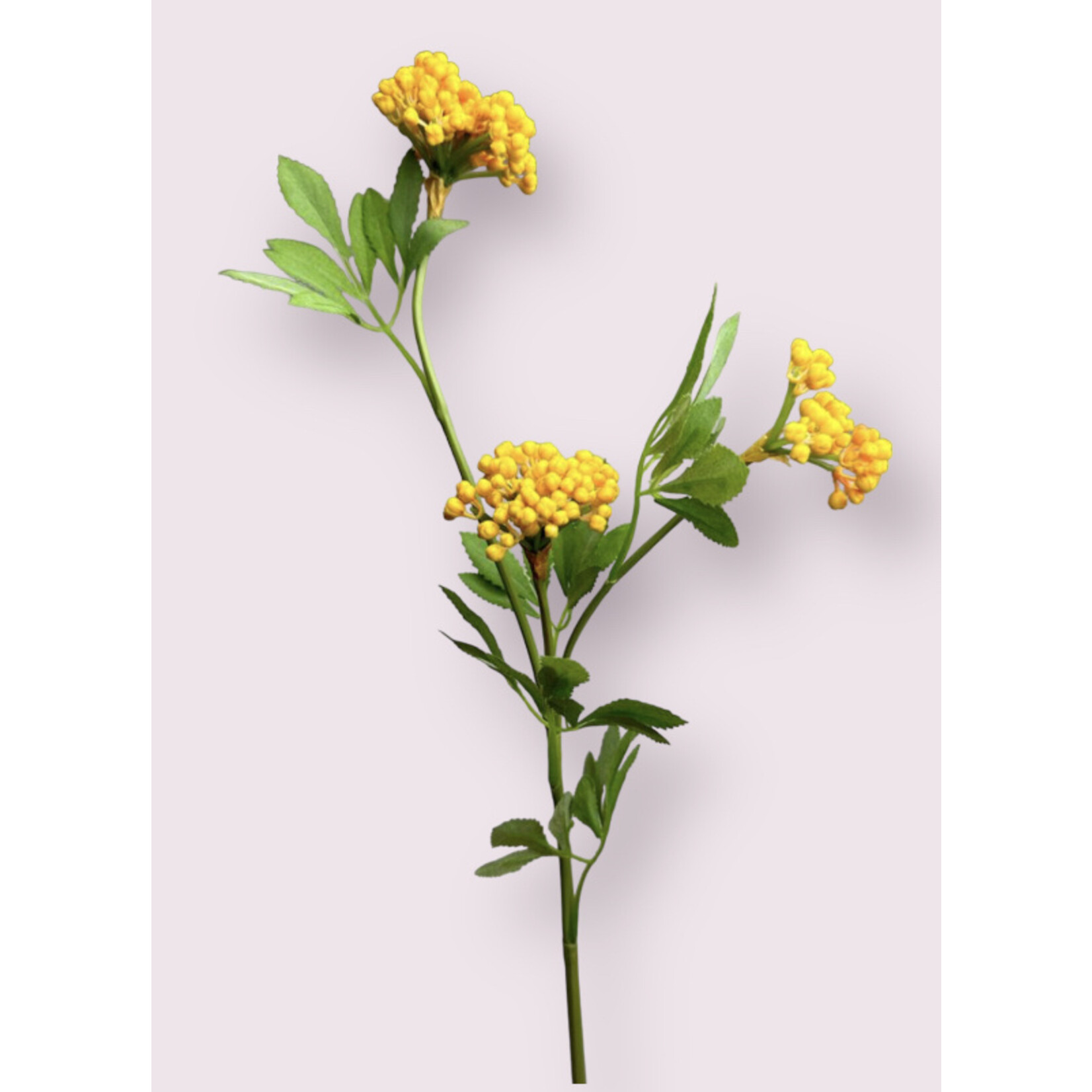 BERRY  SPRAY | YELLOW | 80 CM