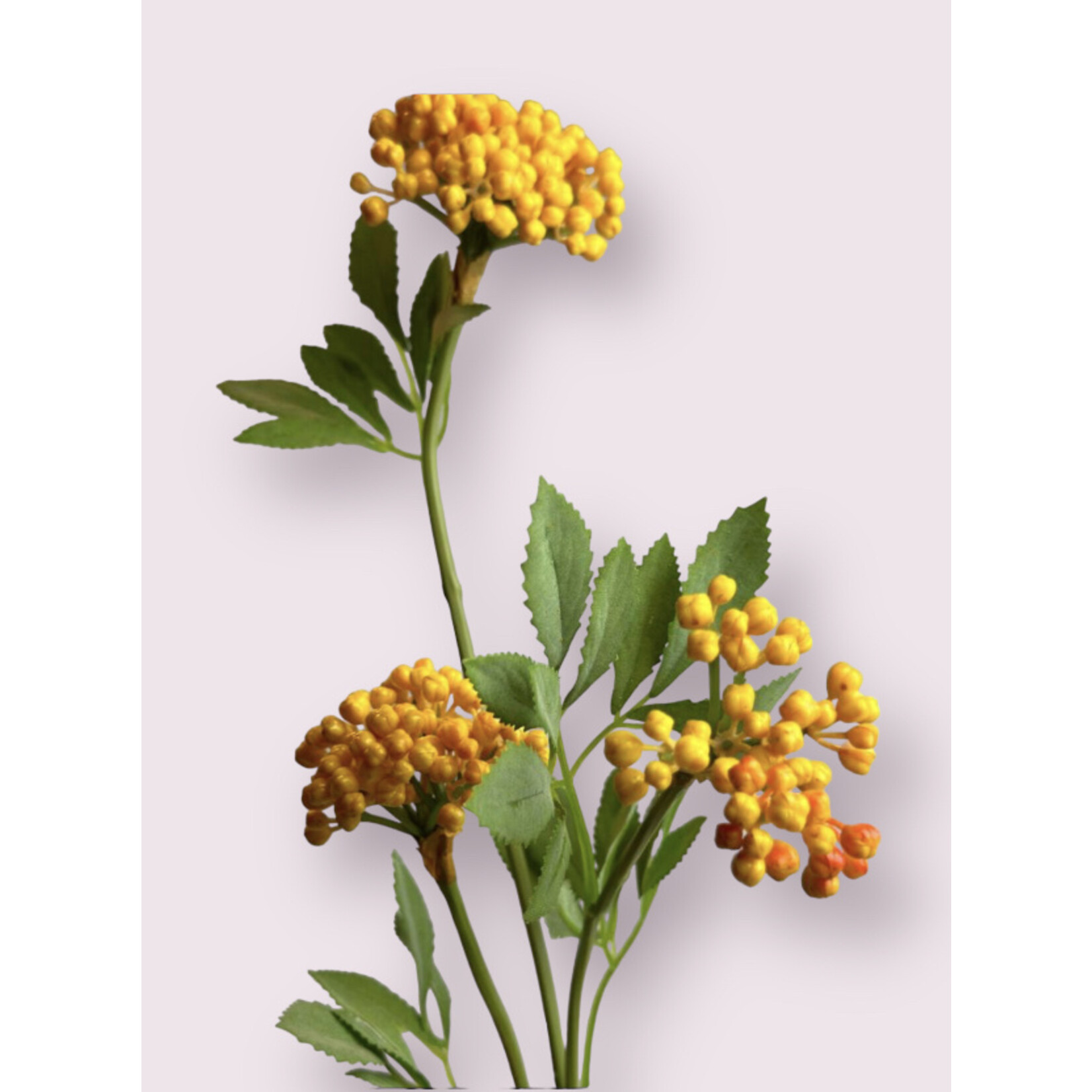 BERRY  SPRAY | YELLOW | 80 CM