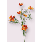 COSMOS | ORANGE | 68 CM