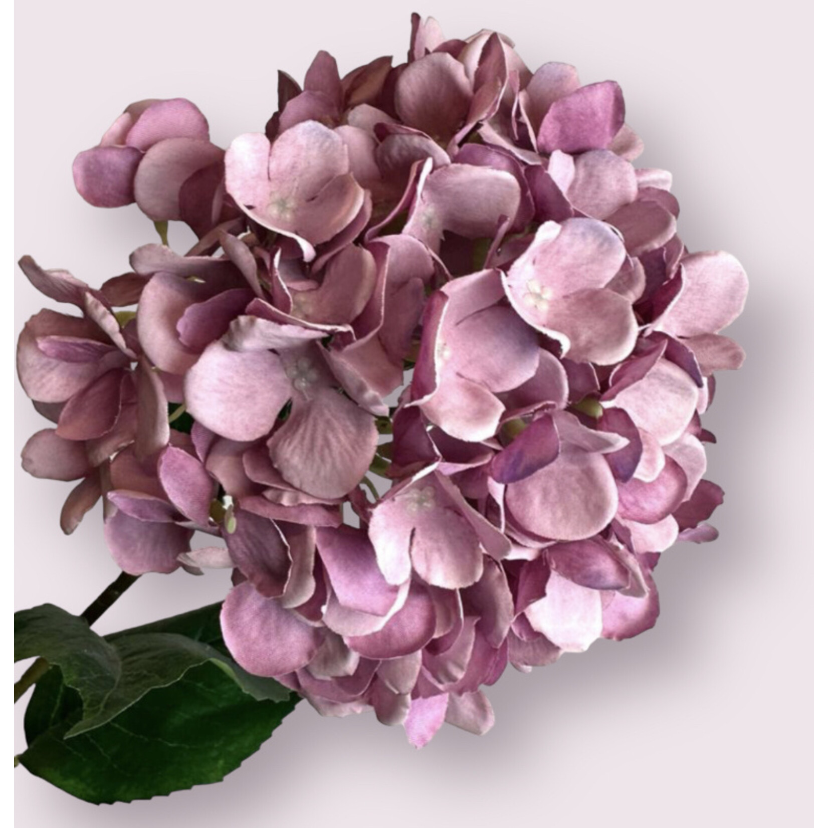 HYDRANGEA XL EARLY ROSA | PINK | 90 CM  | D 18 CM