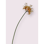 NERINE | ZALM | 90 CM