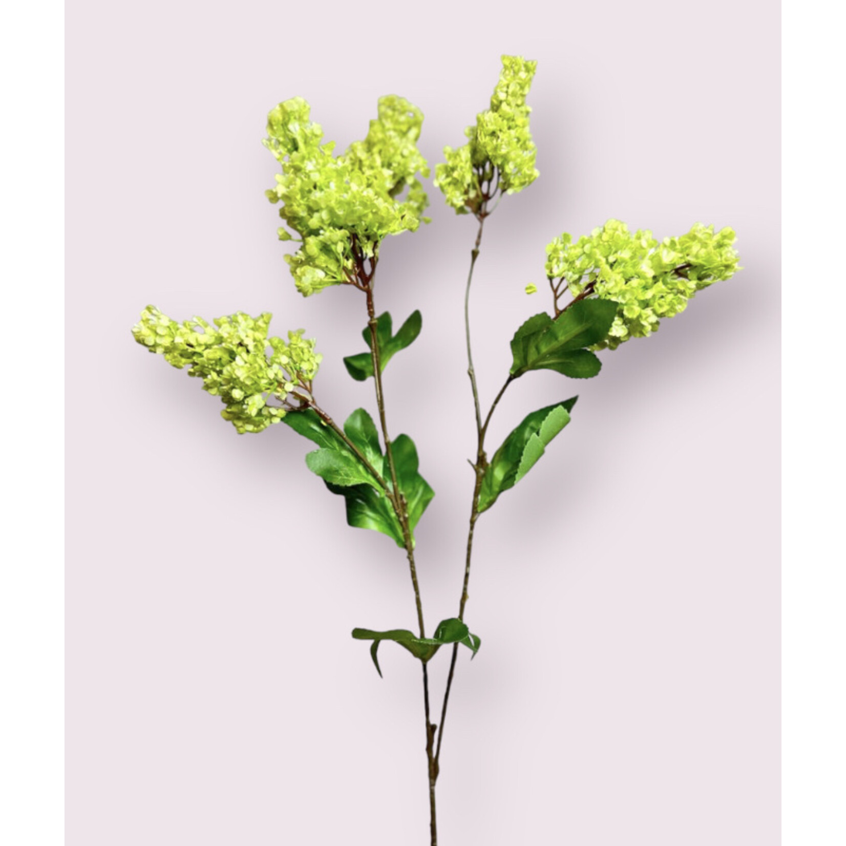 LILAC BRANCH PRIMROSE | GREEN | 73 CM