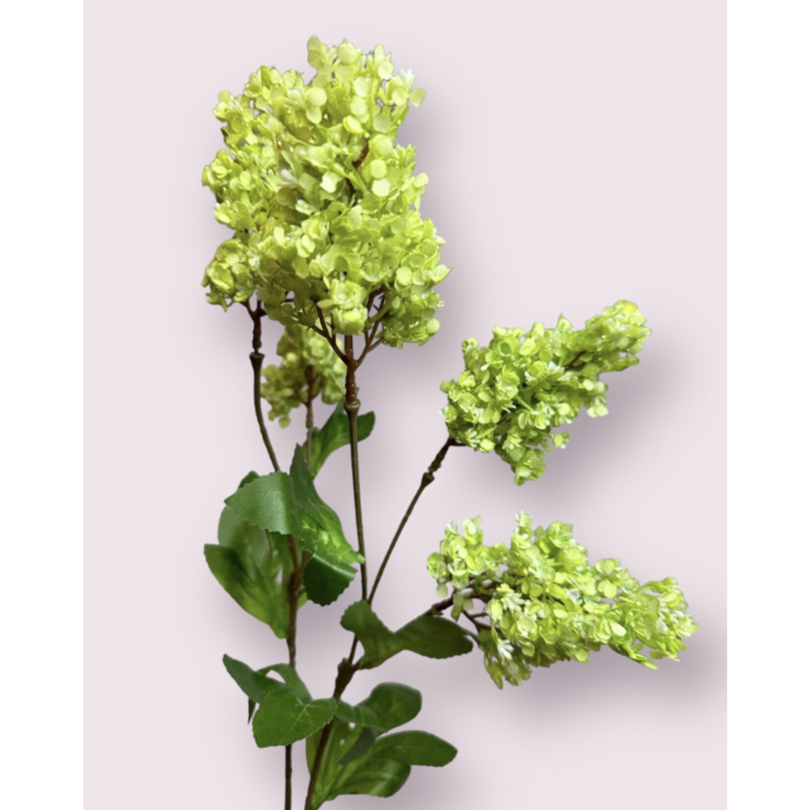 LILAC BRANCH PRIMROSE | GREEN | 73 CM