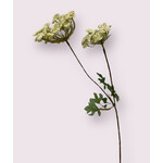 DILL WITH LEAVES | WHITE | 61 CM