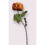 CHRYSANTHEMUM | ORANGE | 76 CM