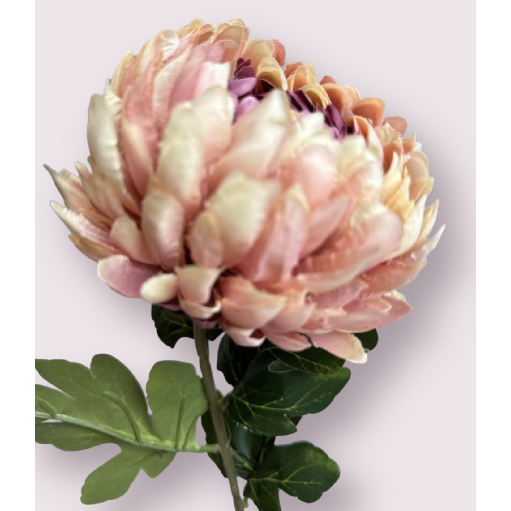 CHRYSANTHEMUM  JUMBO |  MAUVE | 76 CM