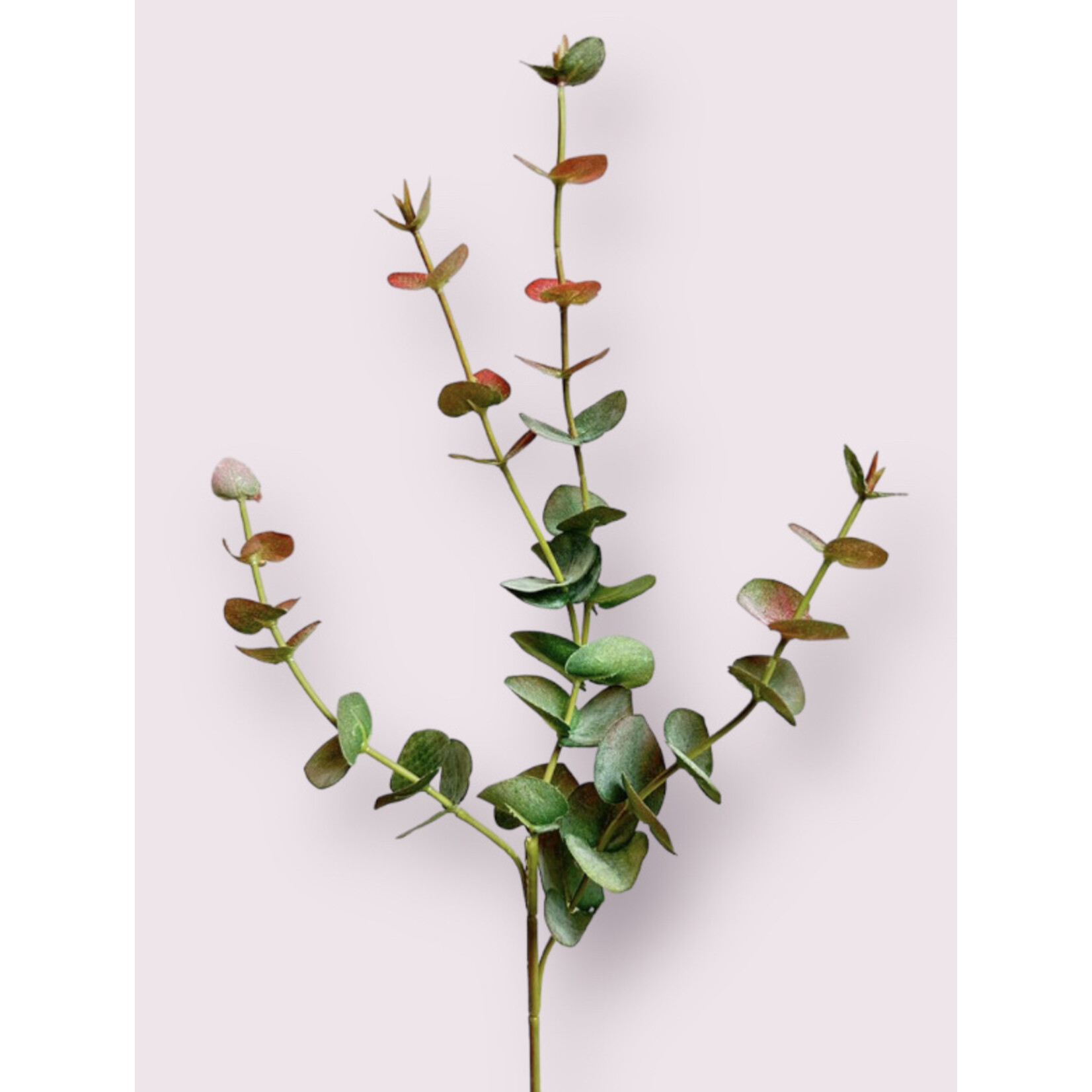 EUCALYPTUS FIJN | GROEN ROZE | 60 CM