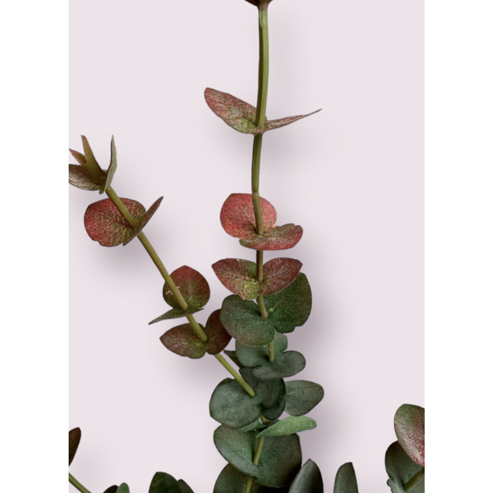 EUCALYPTUS FIJN | GROEN ROZE | 60 CM