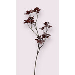 OXALIS | BURGUNDY | 70 CM