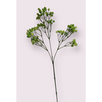 GYPSOPHILA | GREEN | 66 CM