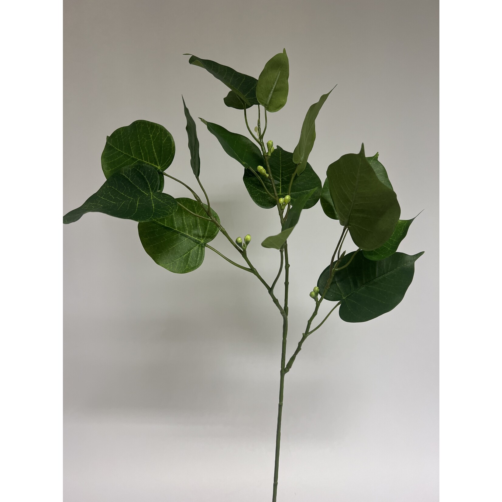 FICUS | GROEN | 78 CM