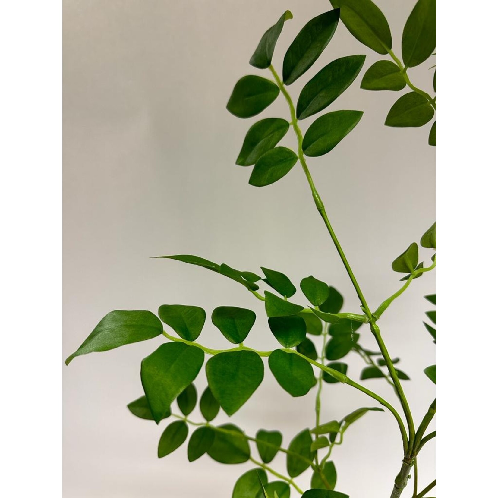 TOSCAN JASMIN LEAF | GREEN | 100CM