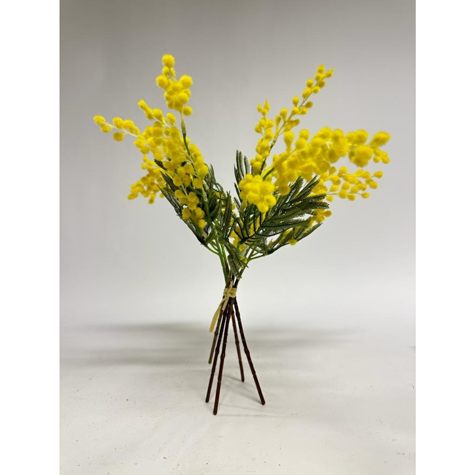 MIMOSA BUNDLE | YELLOW | 42 CM
