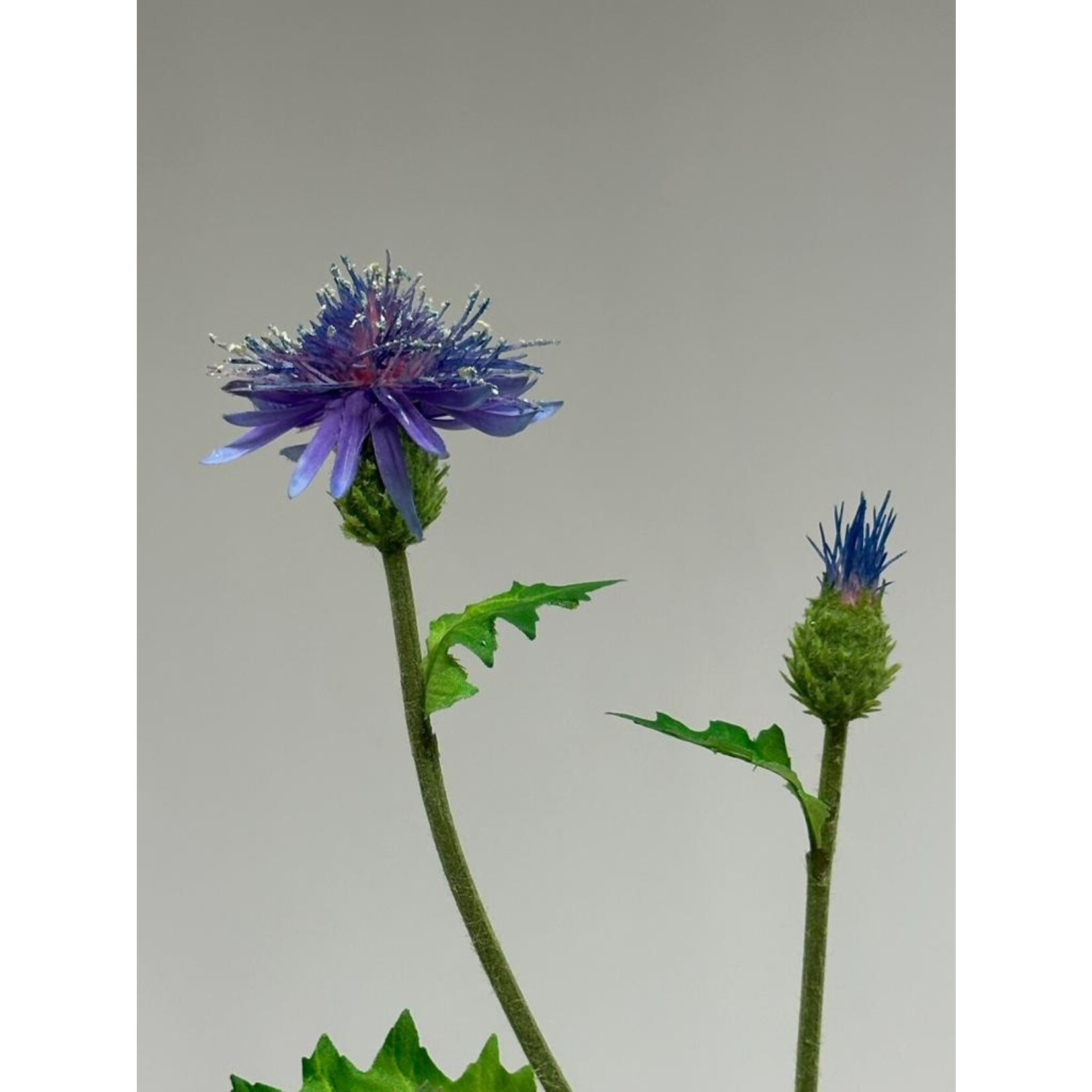 THISTLE | LILAC | 60 CM