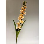 GLADIOLUS | SALMON | 110 CM