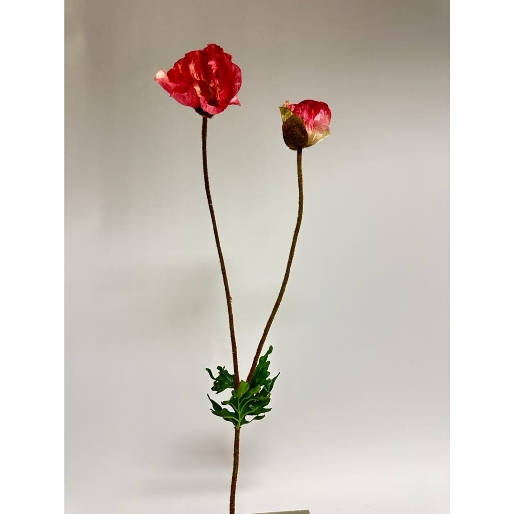 KLAPROOS BURNING HEART | ROZE | 70 CM