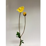 POPPY | YELLOW | 70 CM