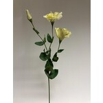 LISIANTHUS | GROEN | 76 CM