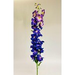 DELPHINIUM | PURPLE | 128 CM