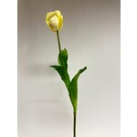 TULIP | CREME  | 66 CM