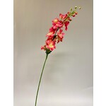 DELPHINIUM |PINK | 95 CM