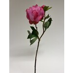 PEONY | PINK | 45 CM