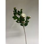 CAMELIA IN BUD | WHITE  | 70 CM