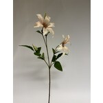 CLEMATIS | PEACH | 65 CM