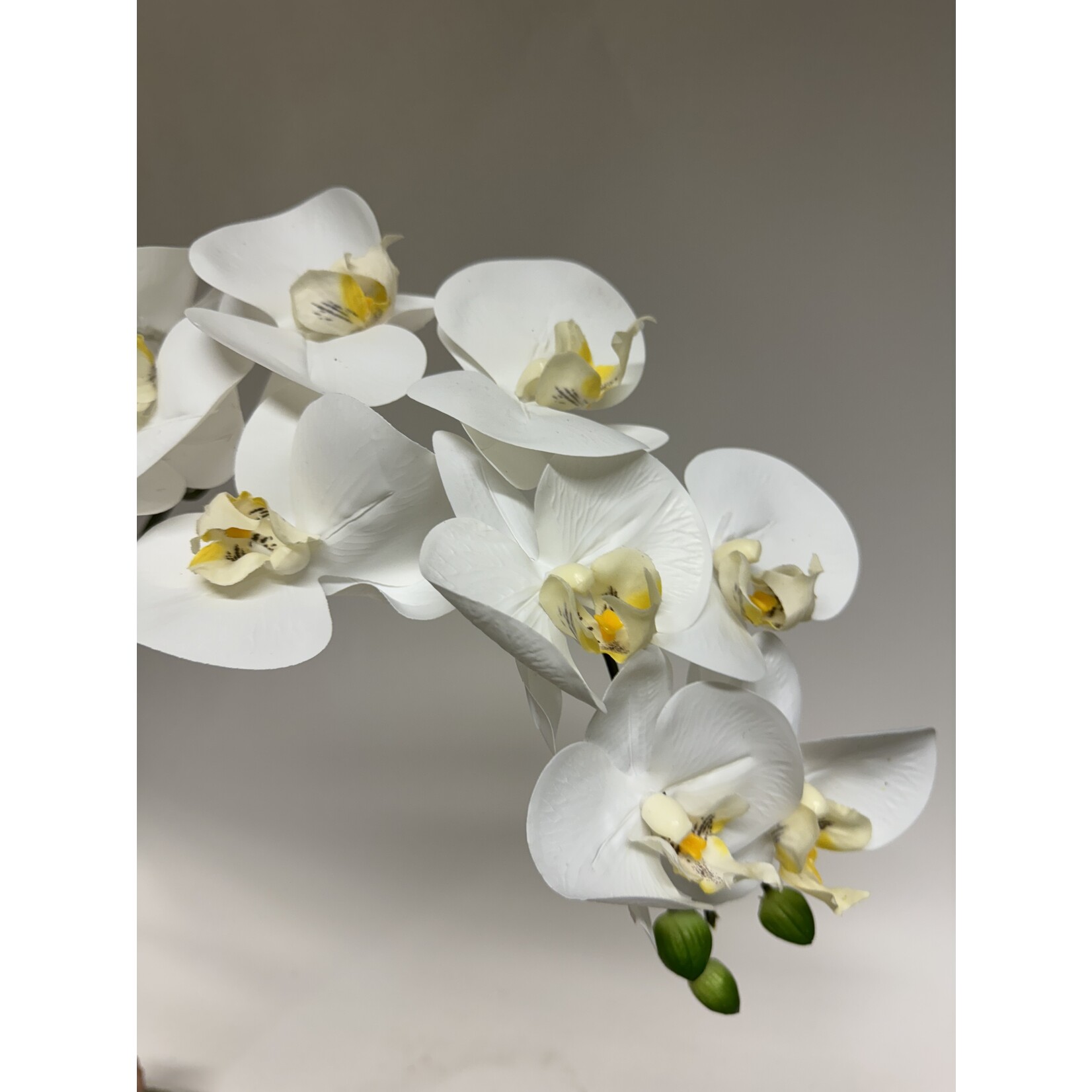 ORCHID | WHITE | 98 CM