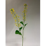 CANOLA BRANCH | YELLOW | 85 CM