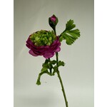 RANUNCULUS | PURPLE | 45 CM