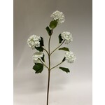 VIBURNUM | WHITE | 75 CM