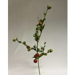 TOMATEN TAK | ROOD | 82 CM