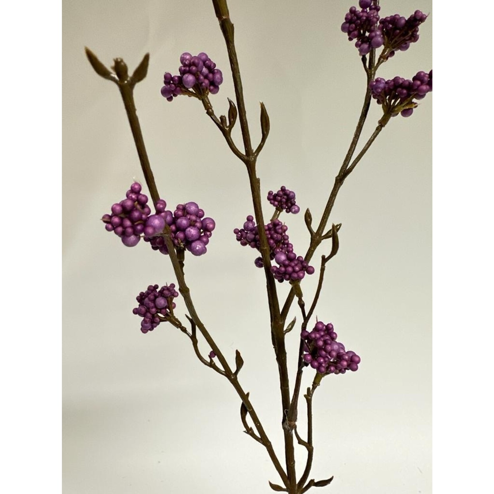 CALLICARPA | PURPLE | 81 CM