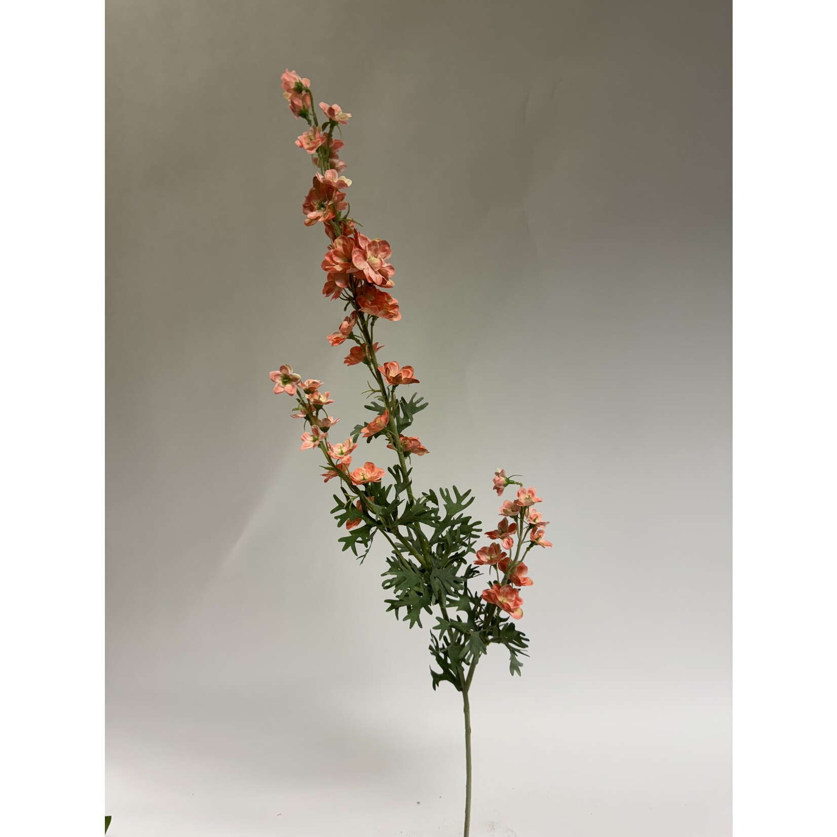 DELPHINIUM |LPINK | 86 CM