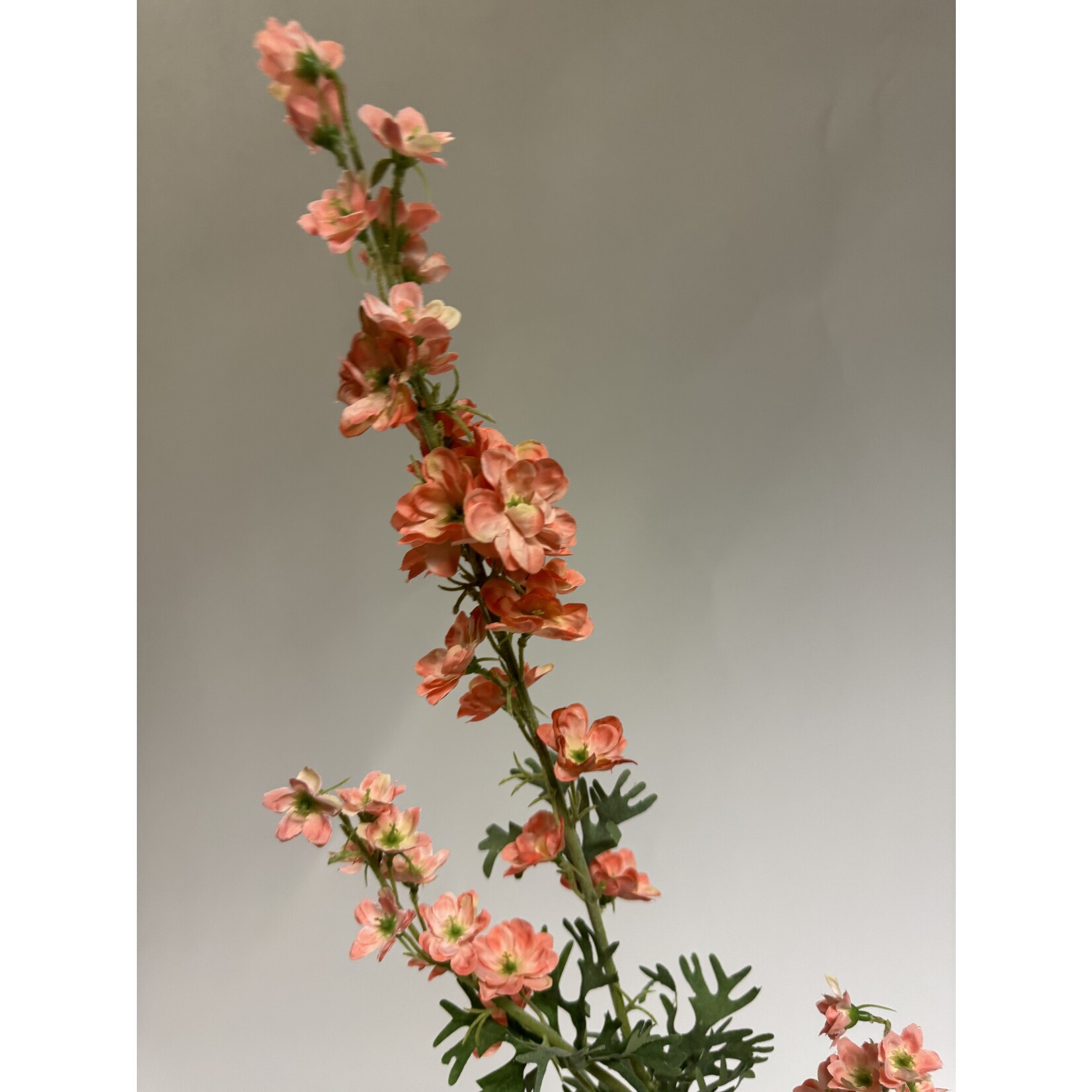 DELPHINIUM |LPINK | 86 CM