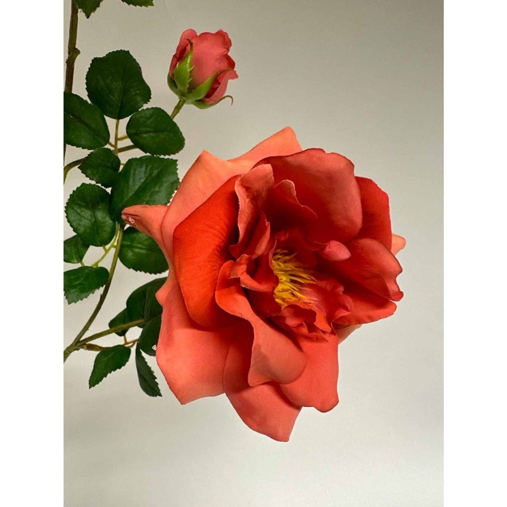 GARDEN ROSE BELLE EPOQUE| PINK | 95 CM