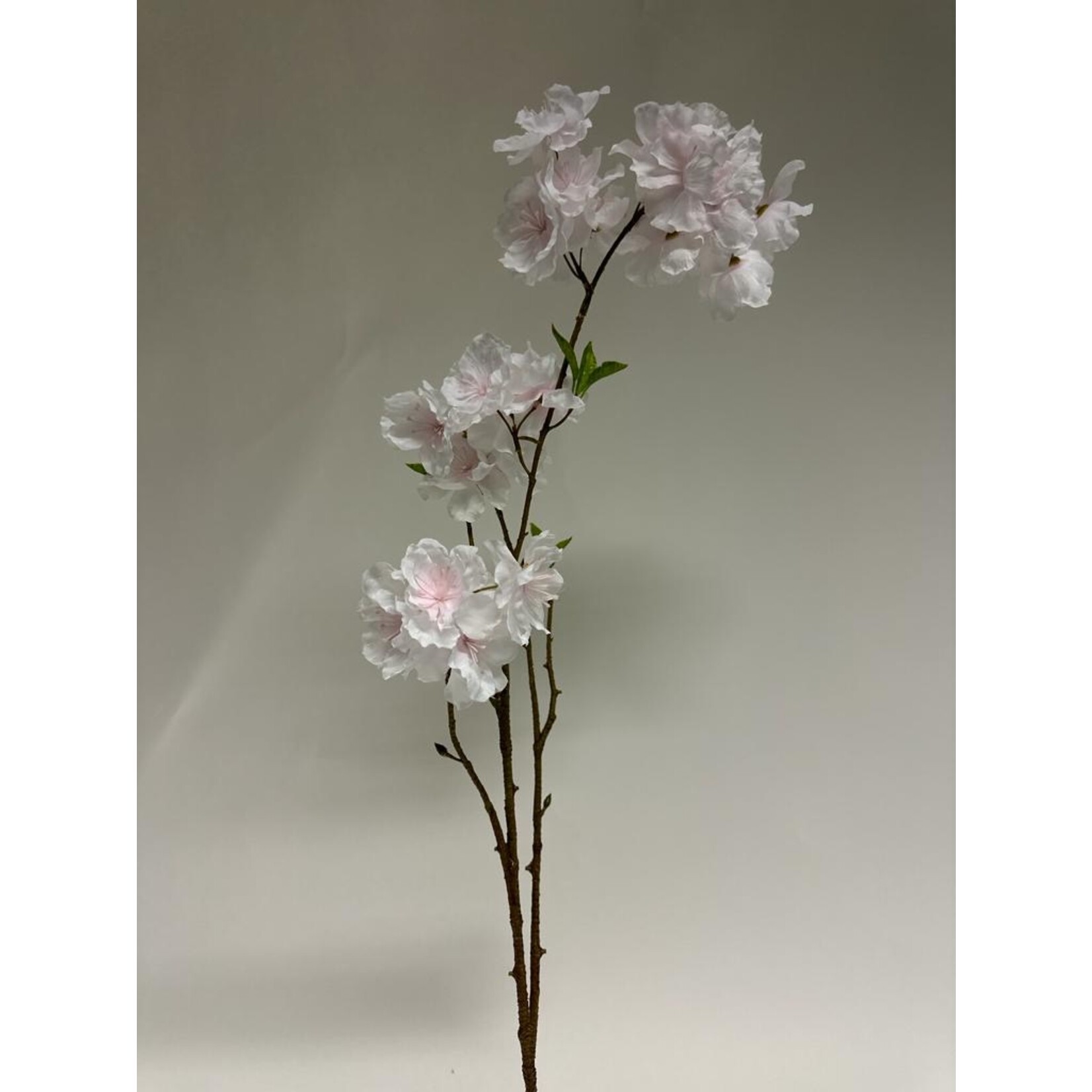 BLOSSOM SPRAY | PINK CREAM| 78 CM