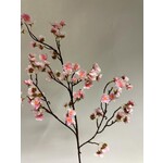 BLOSSOM | PINK | 90 CM