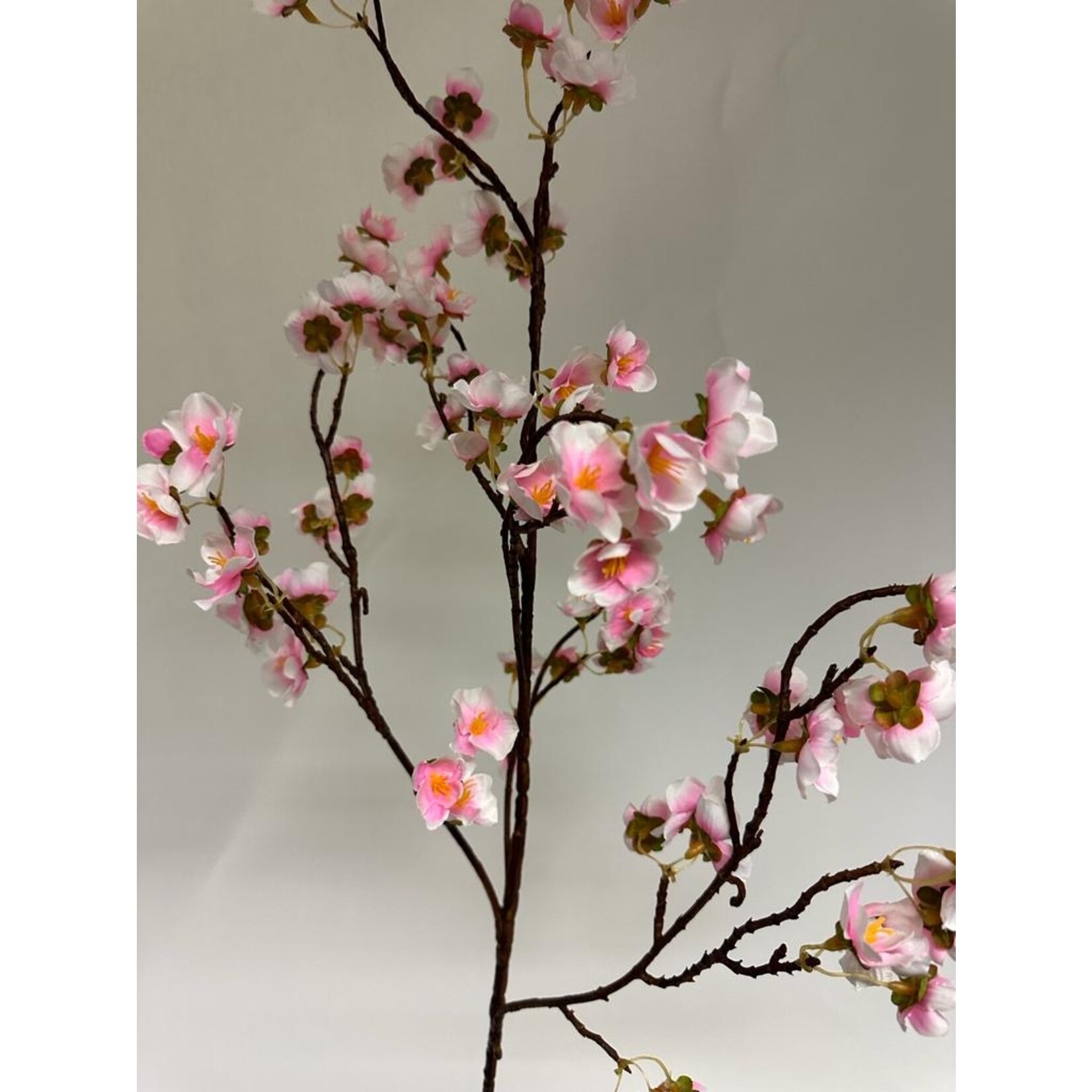 BLOSSOM | PINK | 90 CM